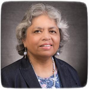 Meera Chandrasekhar (co-PI) Curator's Teaching Professor Emerita