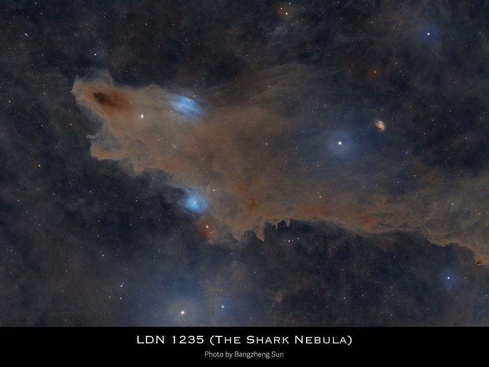 Shark Nebula