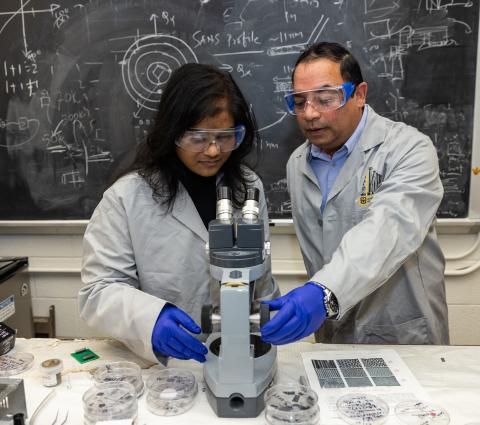 Deepak Singh (right) works with Mizzou graduate student Pousali Ghosh in Singh's lab.