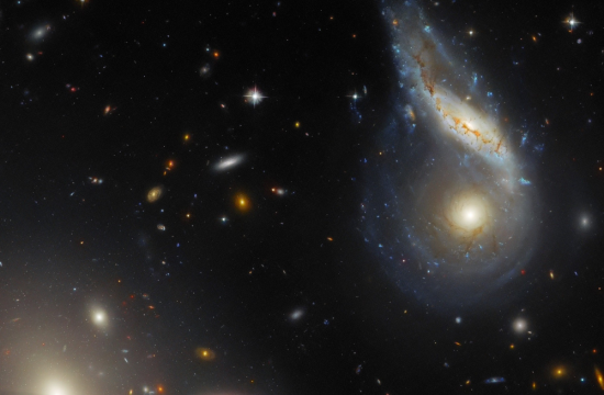 In this Hubble Space Telescope picture, both blue and red galaxies are visible. Photo credit: ESA/Hubble & NASA, J. Dalcanton, Dark Energy Survey/DOE/ FNAL/DECam/CTIO/NOIRLab/NSF/AURA Acknowledgement: L. Shatz